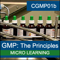 cGMP: The Principles of GMP (Fundamentals)